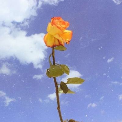 傲剑遮天无限元宝下载